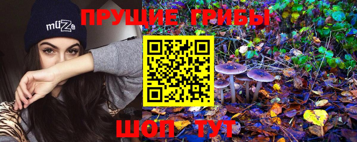 Галлюциногенные грибы MAGIC MUSHROOMS  Галлюциногенные грибы Psilocybe  Вход с VPN  Хасавюрт 