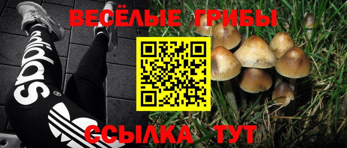 Псилоцибиновые грибы мухоморы Хасавюрт