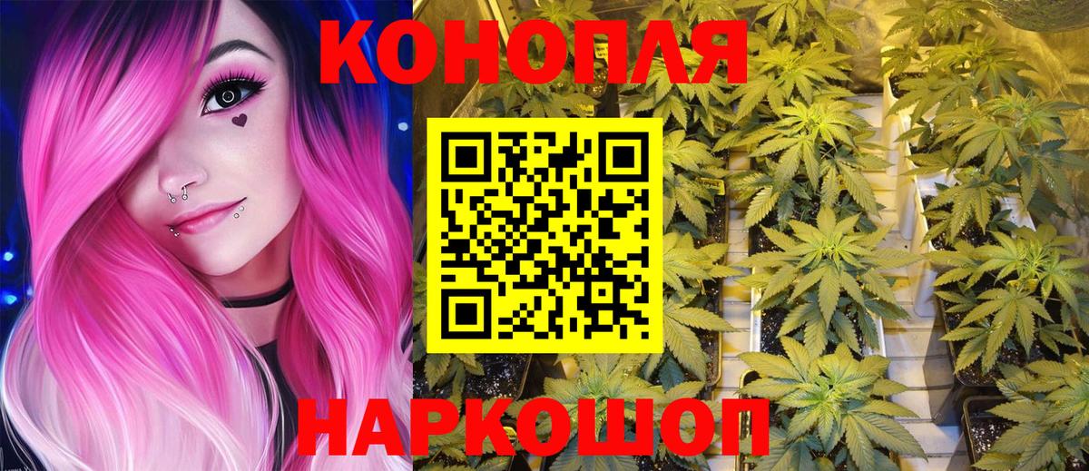 Бошки Шишки White Widow Хасавюрт